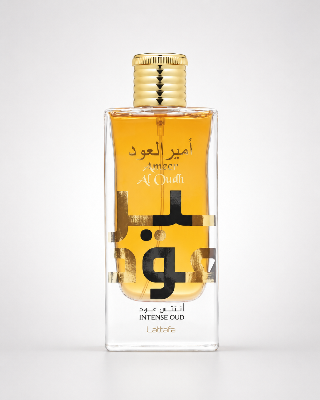 Lattafa Ameer Al Oudh Intense Eau de Parfum 100ml